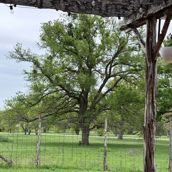 Meet your Posher, Brenda - Picture 11 of 12